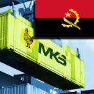 Експорт м'яса курки в Анголу