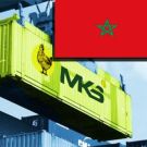 Експорт м'яса курки в Марокко