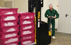 Вантажники