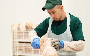 Обвалювальник тушки птиці